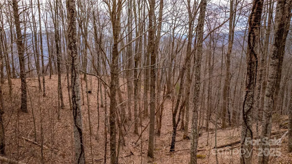 00000 Grassland Parkway #14 Marshall, NC 28753