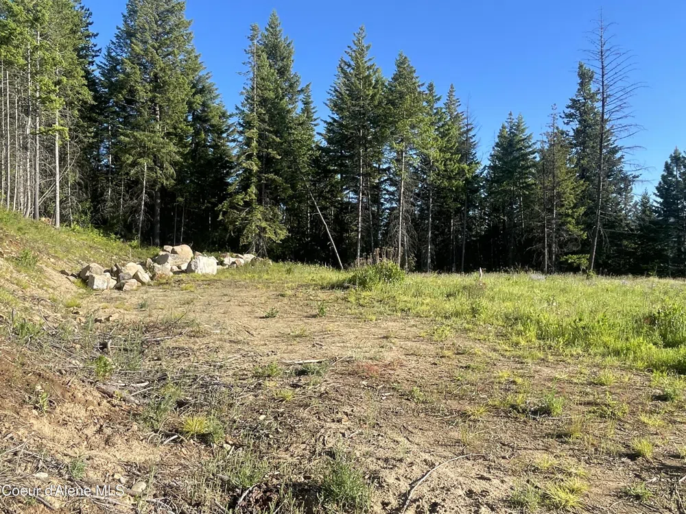 330 Living Waters Way Priest River, ID 83856