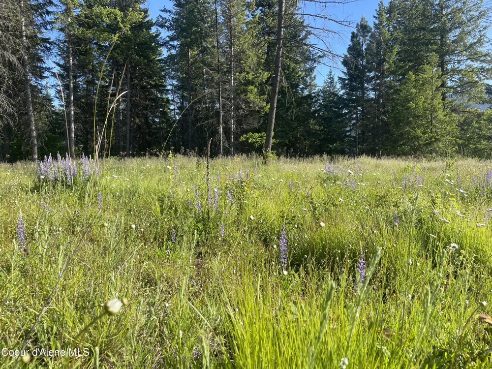 330 Living Waters Way Priest River, ID 83856