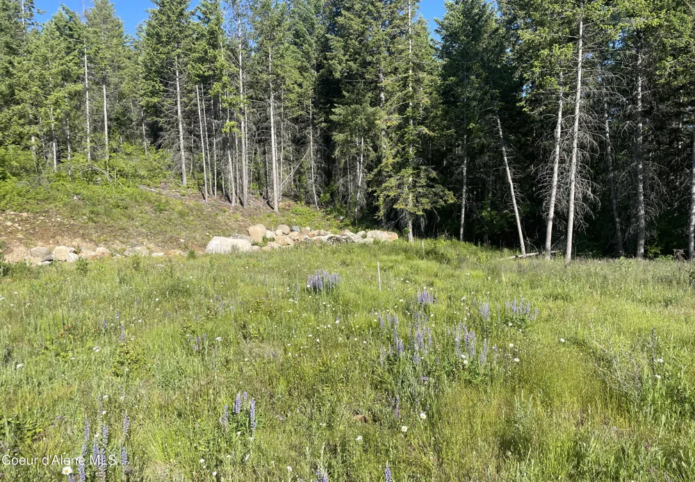 330 Living Waters Way Priest River, ID 83856