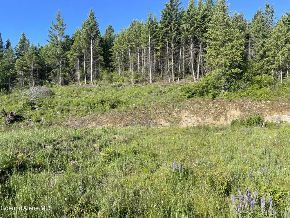 330 Living Waters Way Priest River, ID 83856