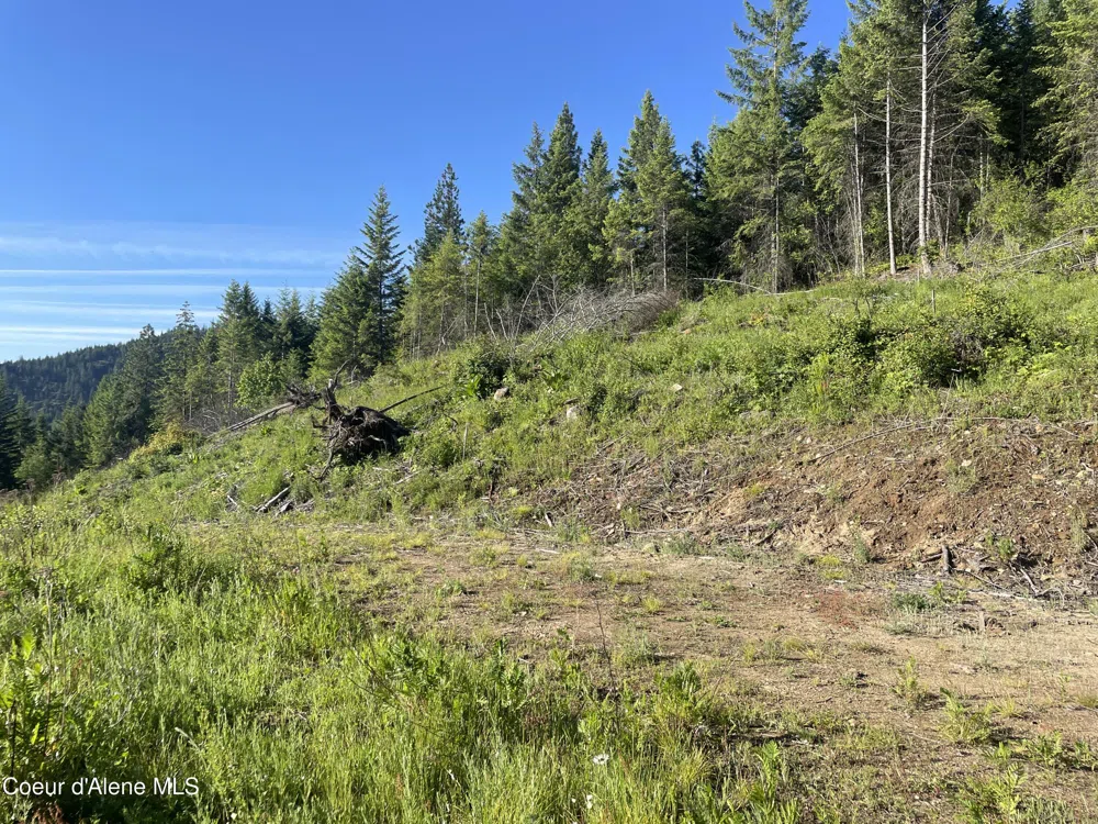 330 Living Waters Way Priest River, ID 83856