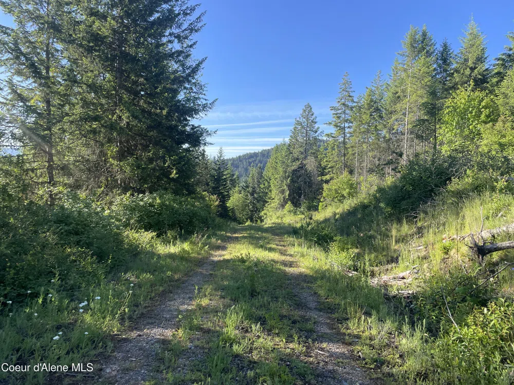 330 Living Waters Way Priest River, ID 83856