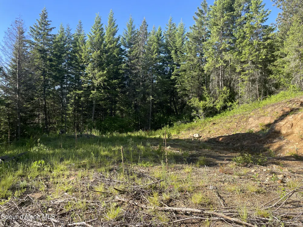 330 Living Waters Way Priest River, ID 83856