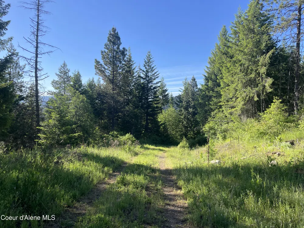 330 Living Waters Way Priest River, ID 83856