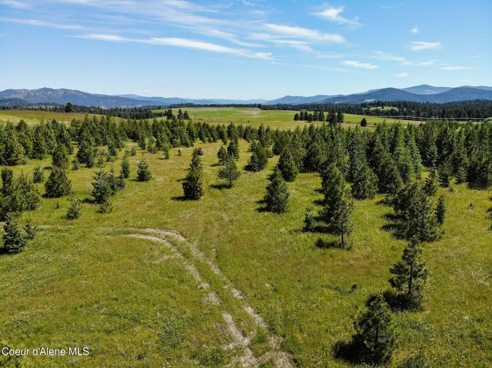 NNA S Hawthorne Drive Parcel 1 Harrison, ID 83833