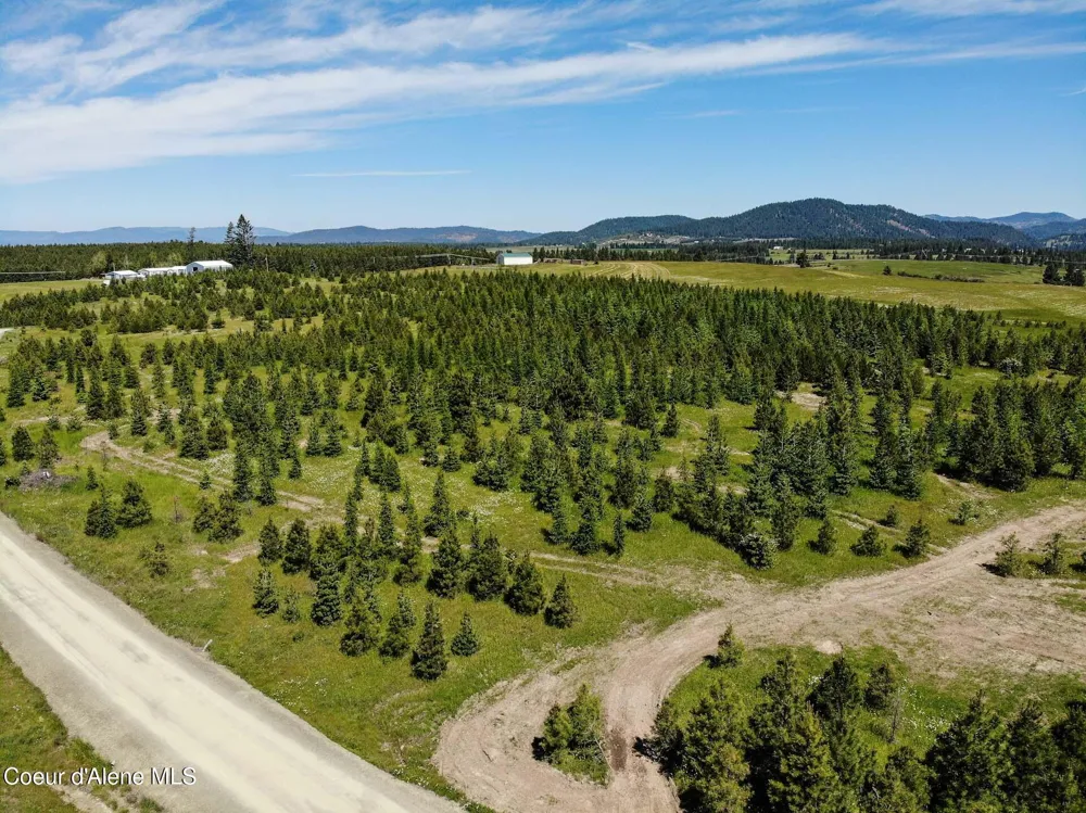 NNA S Hawthorne Drive Parcel 1 Harrison, ID 83833