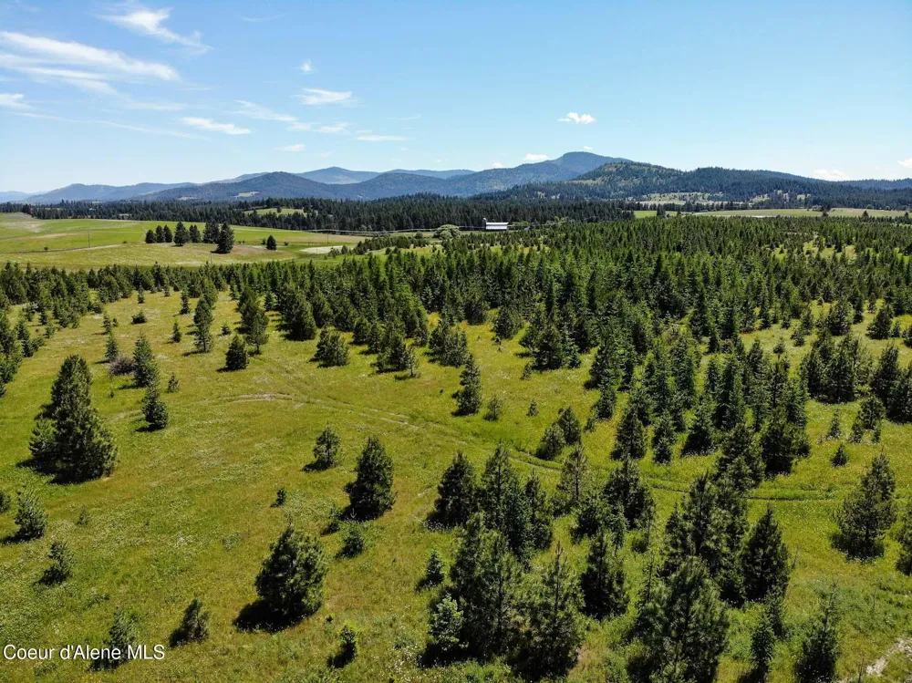 NNA S Hawthorne Drive Parcel 1 Harrison, ID 83833
