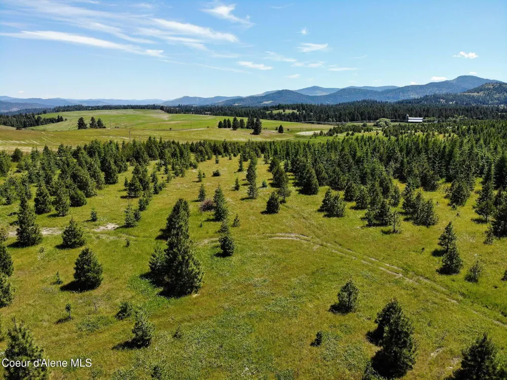 NNA S Hawthorne Drive Parcel 1 Harrison, ID 83833