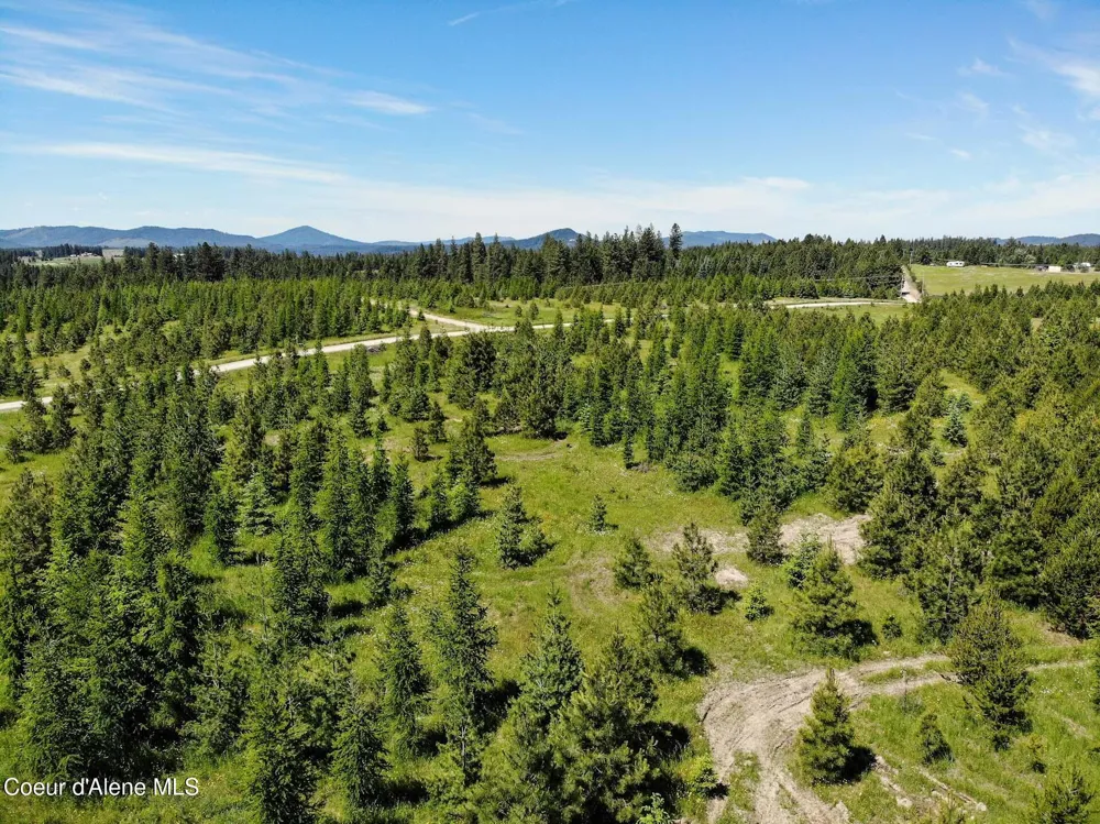 NNA S Hawthorne Drive Parcel 1 Harrison, ID 83833