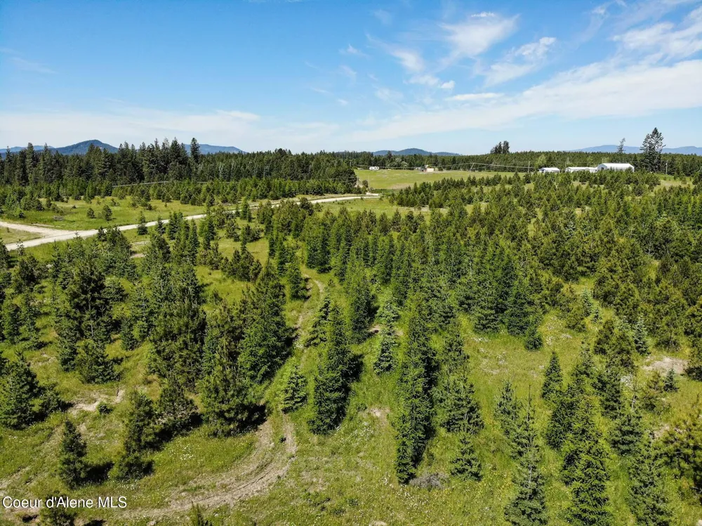 NNA S Hawthorne Drive Parcel 1 Harrison, ID 83833