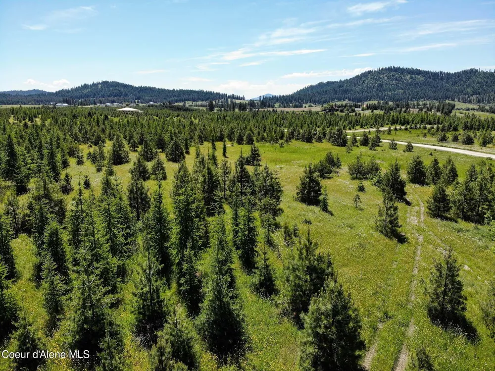 NNA S Hawthorne Drive Parcel 1 Harrison, ID 83833