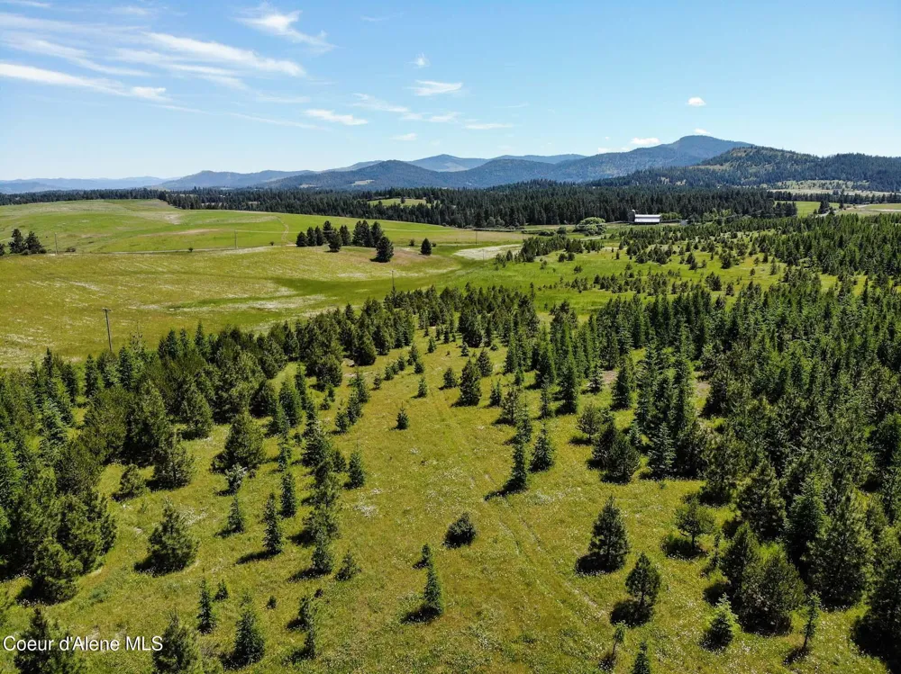 NNA S Hawthorne Drive Parcel 1 Harrison, ID 83833