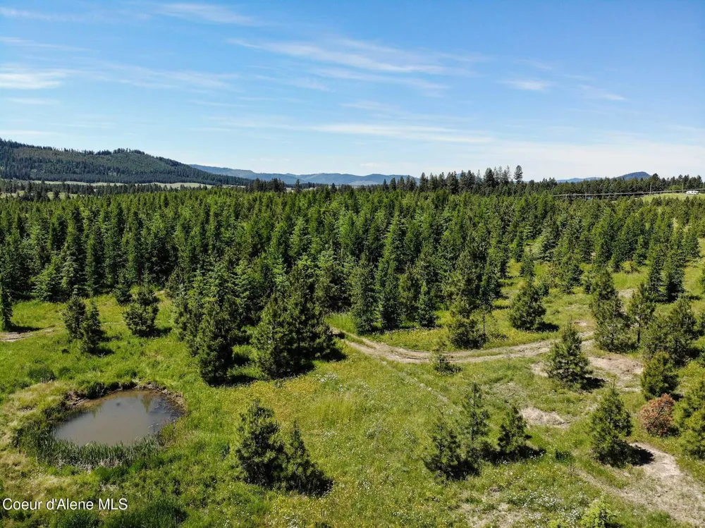 NNA S Hawthorne Drive Parcel 1 Harrison, ID 83833