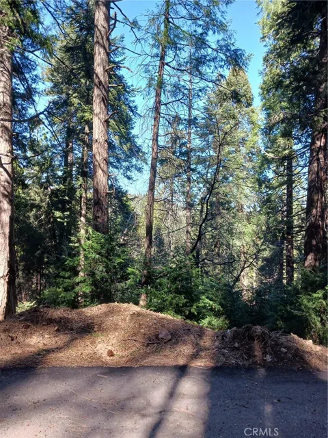 35 Spring Drive