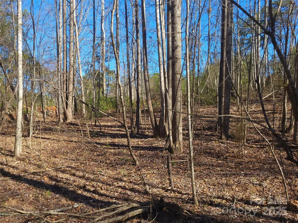 000 Skylark Lane #6 Tryon, NC 28782