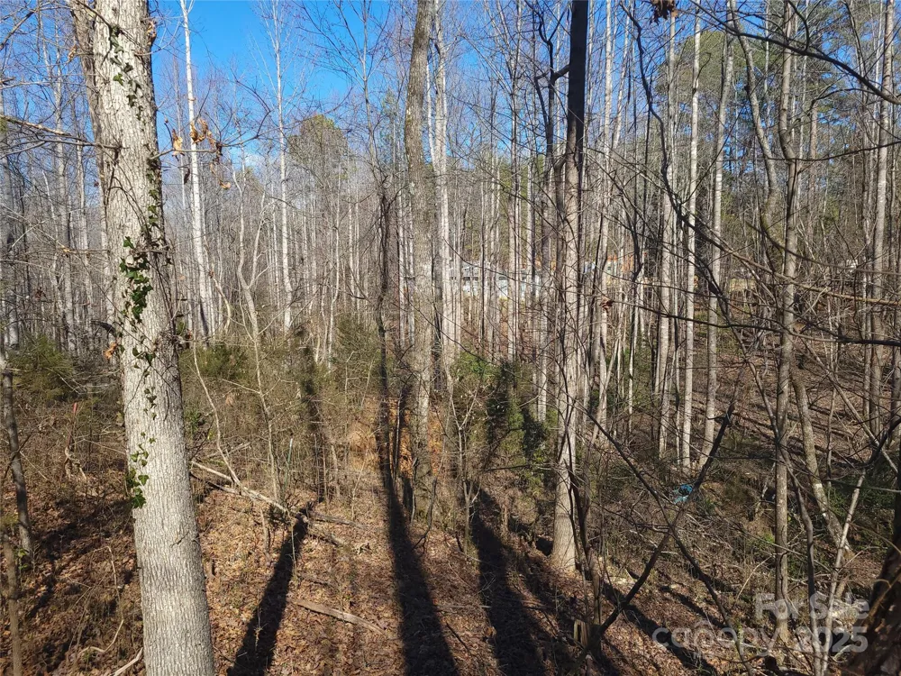 000 Skylark Lane #6 Tryon, NC 28782