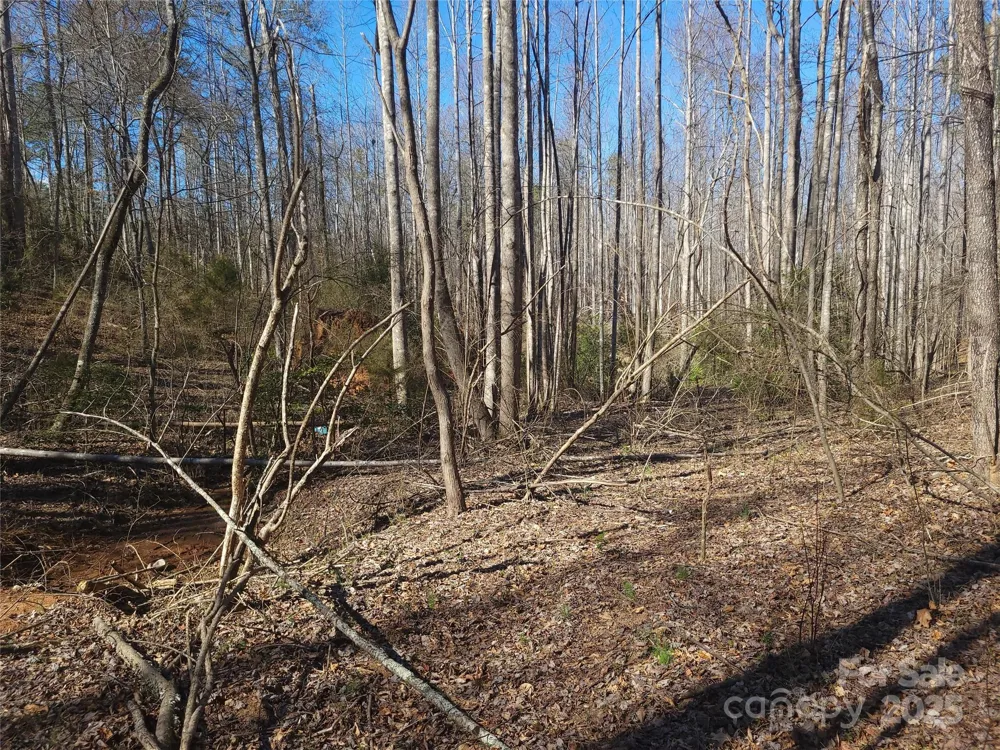 000 Skylark Lane #6 Tryon, NC 28782