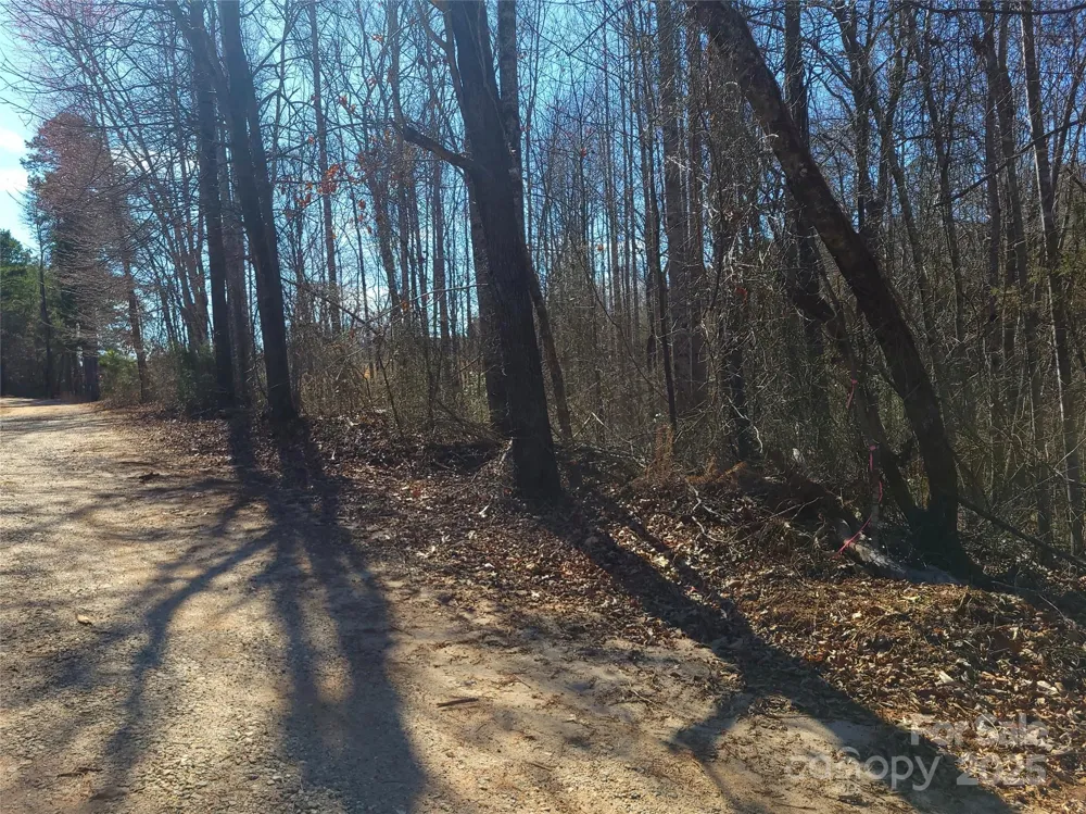 000 Skylark Lane #6 Tryon, NC 28782