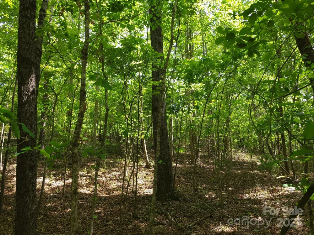 000 Skylark Lane #6 Tryon, NC 28782