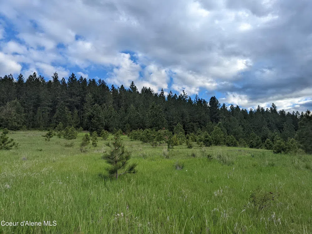 2614 Desmet Rd Desmet, ID 83824