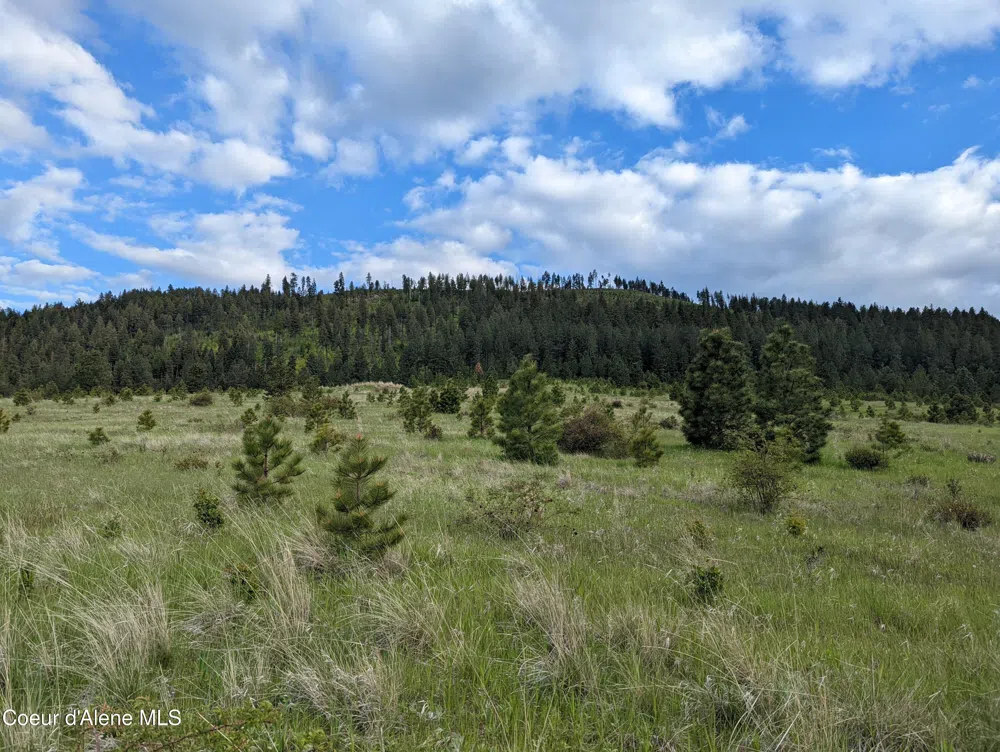 2614 Desmet Rd Desmet, ID 83824