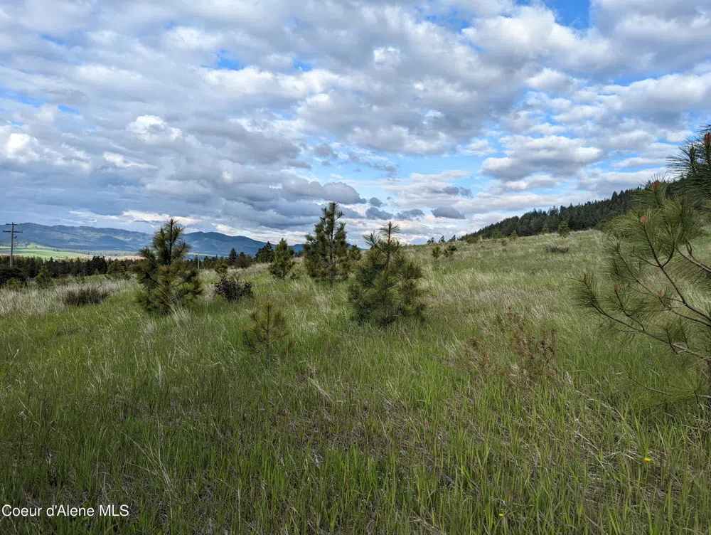 2614 Desmet Rd Desmet, ID 83824