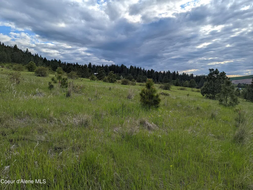2614 Desmet Rd Desmet, ID 83824