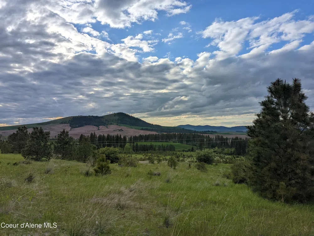 2614 Desmet Rd Desmet, ID 83824
