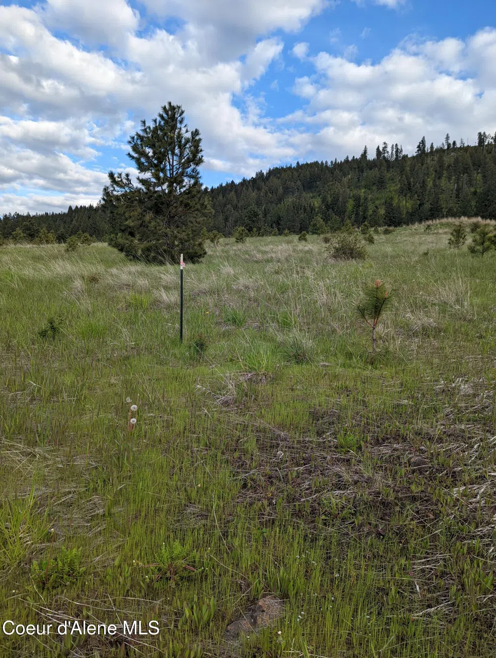 2614 Desmet Rd Desmet, ID 83824