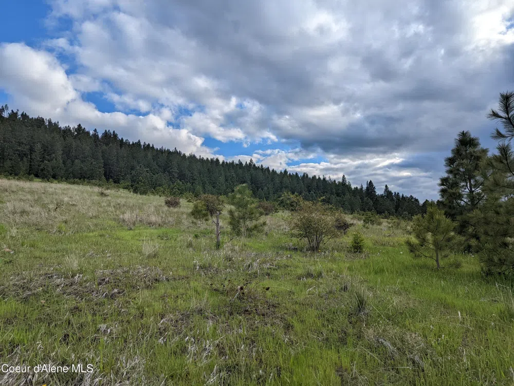 2614 Desmet Rd Desmet, ID 83824