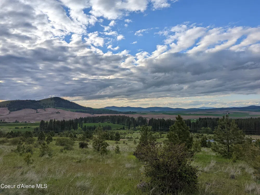 2614 Desmet Rd Desmet, ID 83824