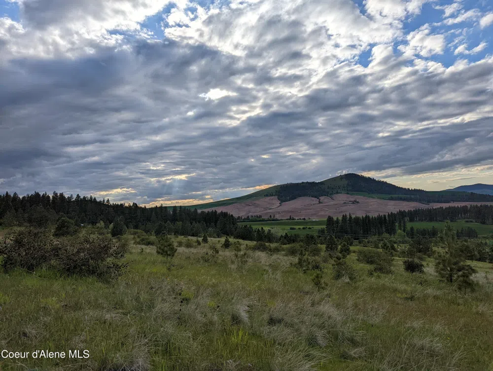 2614 Desmet Rd Desmet, ID 83824