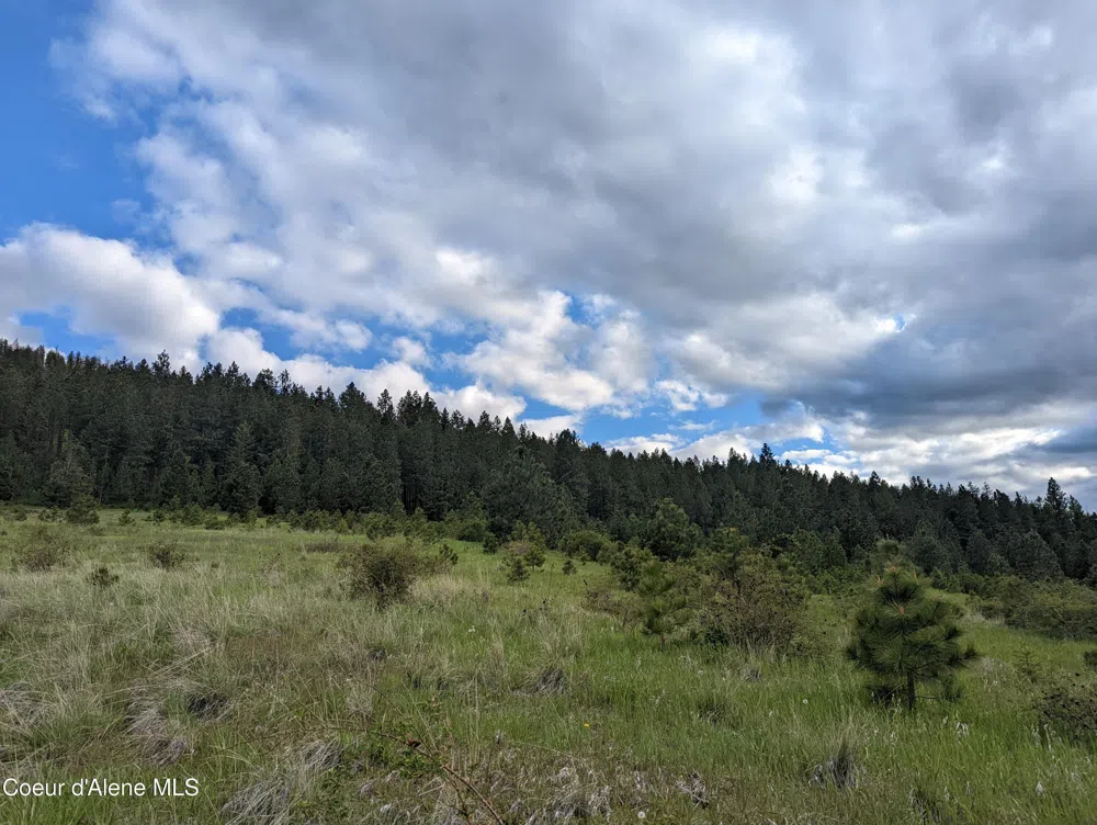 2614 Desmet Rd Desmet, ID 83824