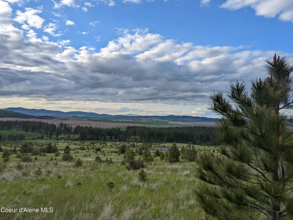 2614 Desmet Rd Desmet, ID 83824