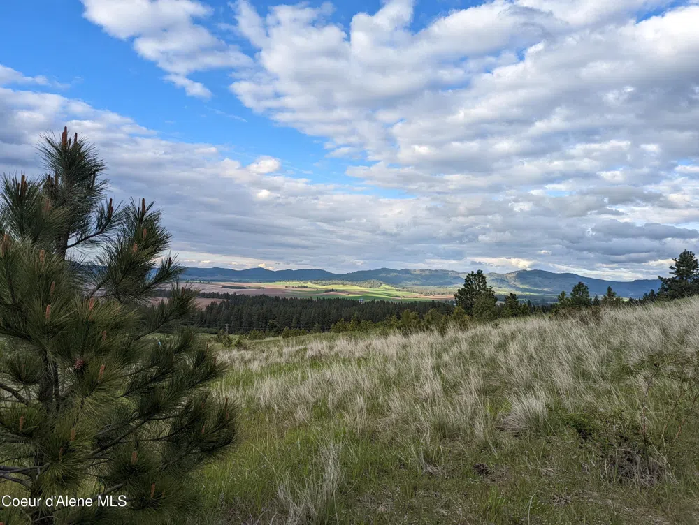 2614 Desmet Rd Desmet, ID 83824