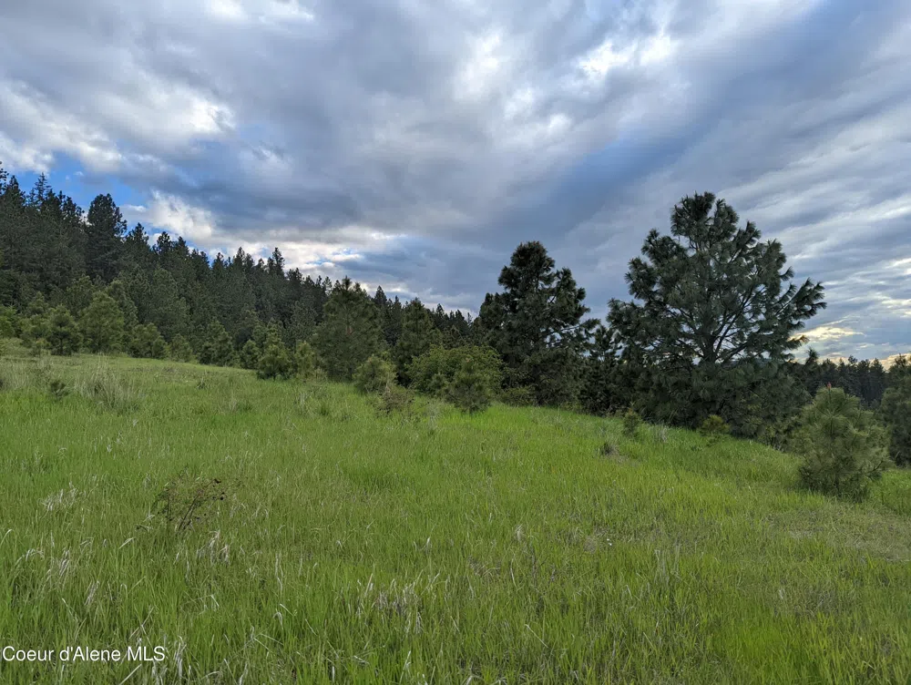 2614 Desmet Rd Desmet, ID 83824