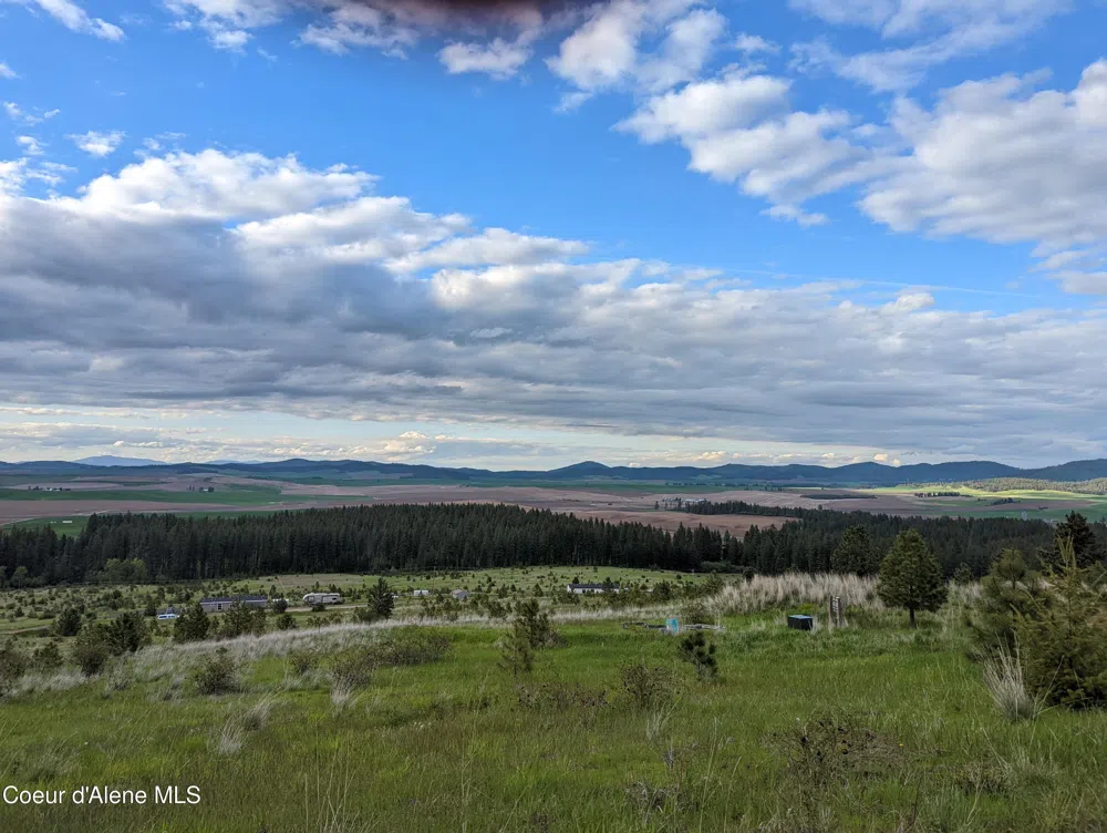 2614 Desmet Rd Desmet, ID 83824