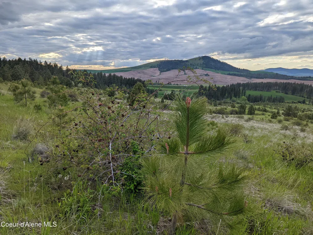 2614 Desmet Rd Desmet, ID 83824