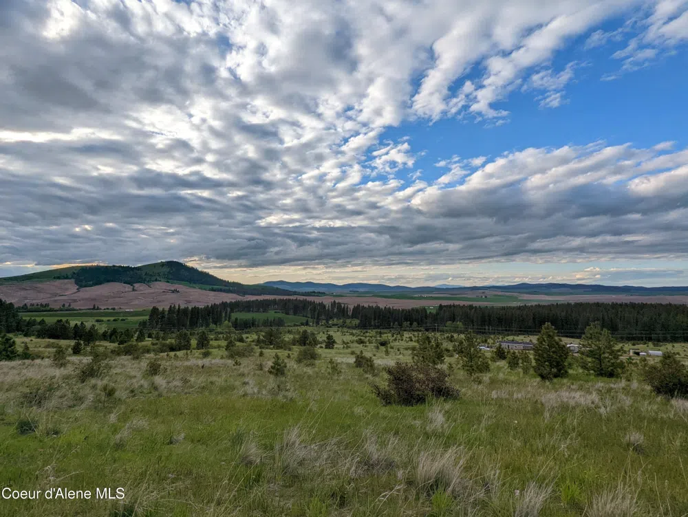 2614 Desmet Rd Desmet, ID 83824