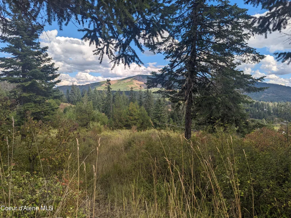 NKA Founders Rd Emida, ID 83861