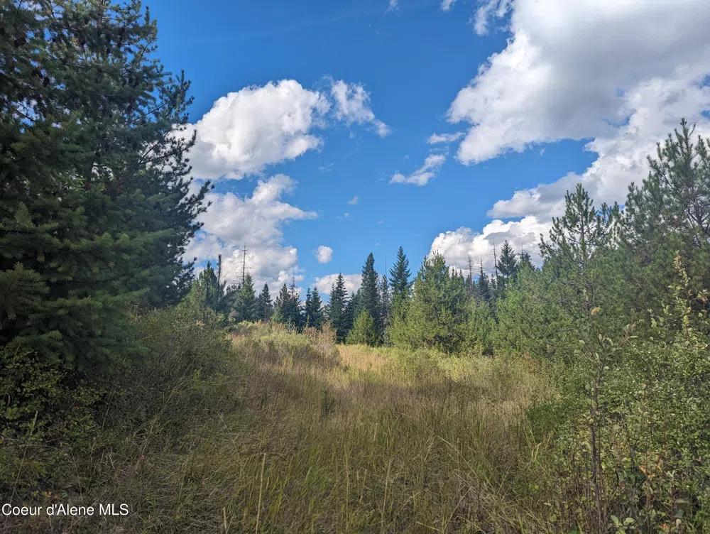 NKA Founders Rd Emida, ID 83861