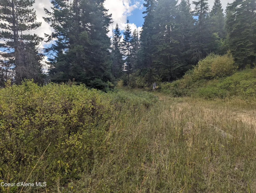 NKA Founders Rd Emida, ID 83861