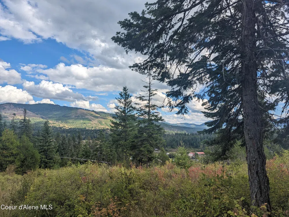 NKA Founders Rd Emida, ID 83861