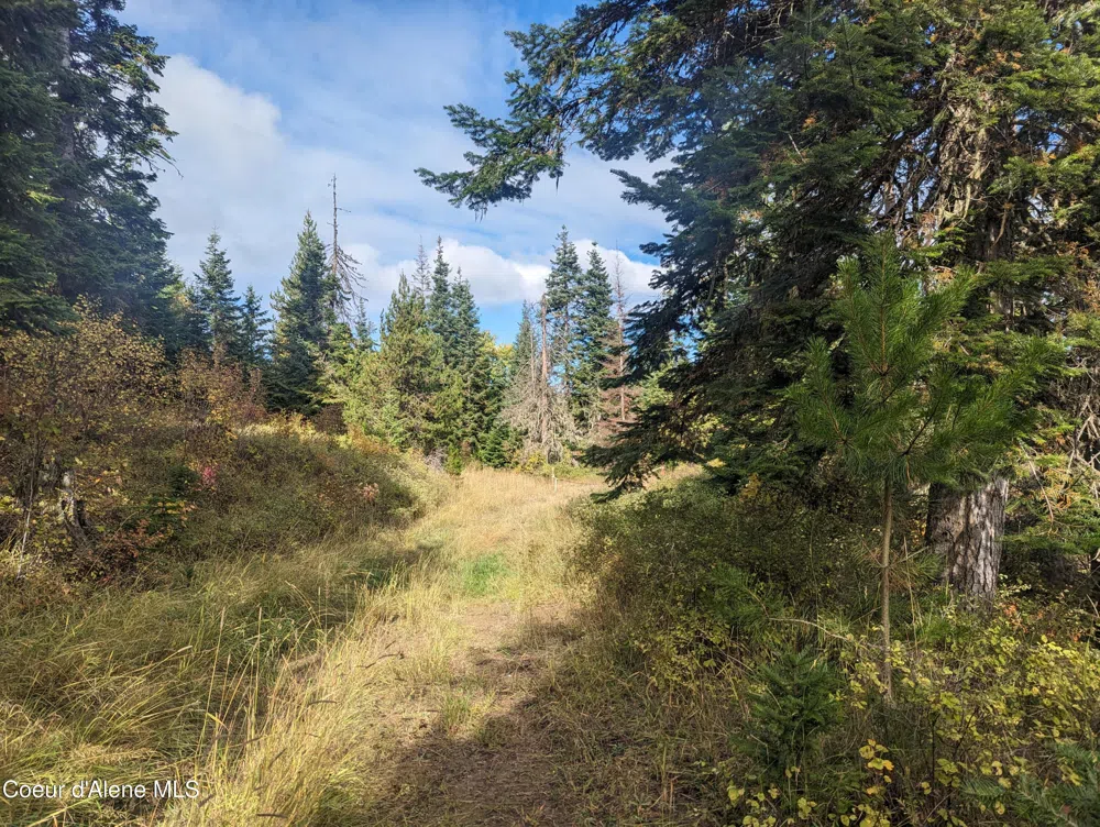 NKA Founders Rd Emida, ID 83861