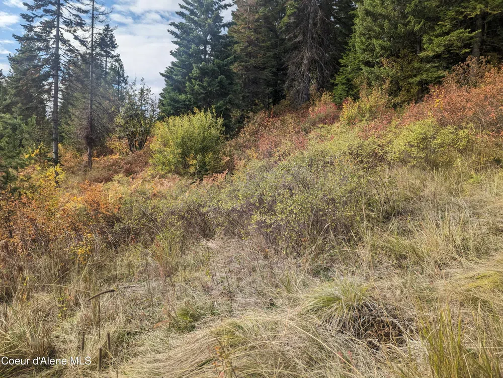 NKA Founders Rd Emida, ID 83861