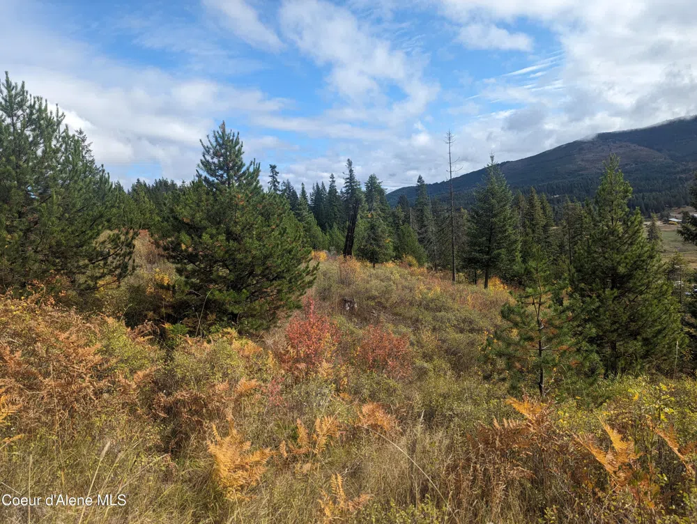 NKA Founders Rd Emida, ID 83861
