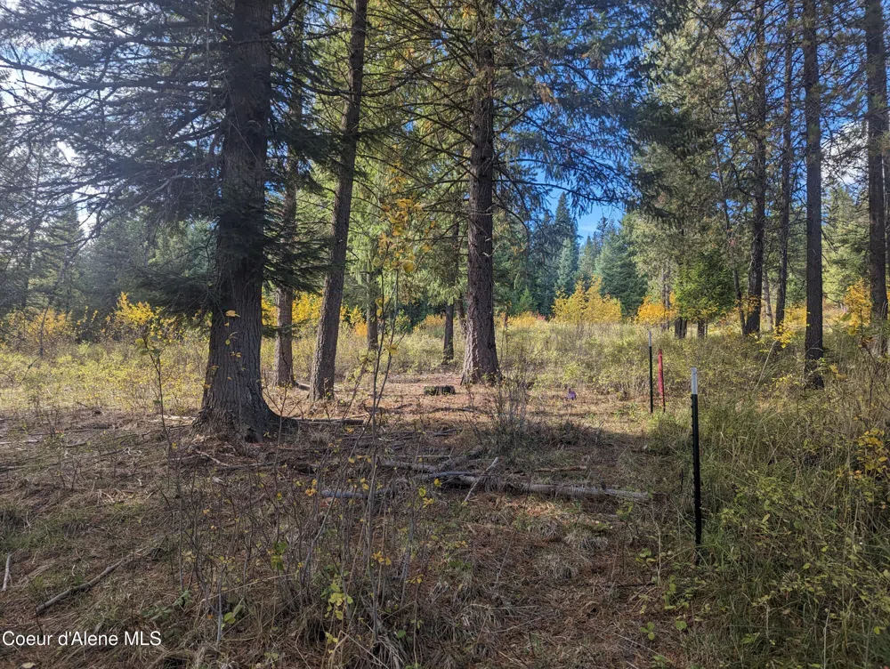 NKA Founders Rd Emida, ID 83861