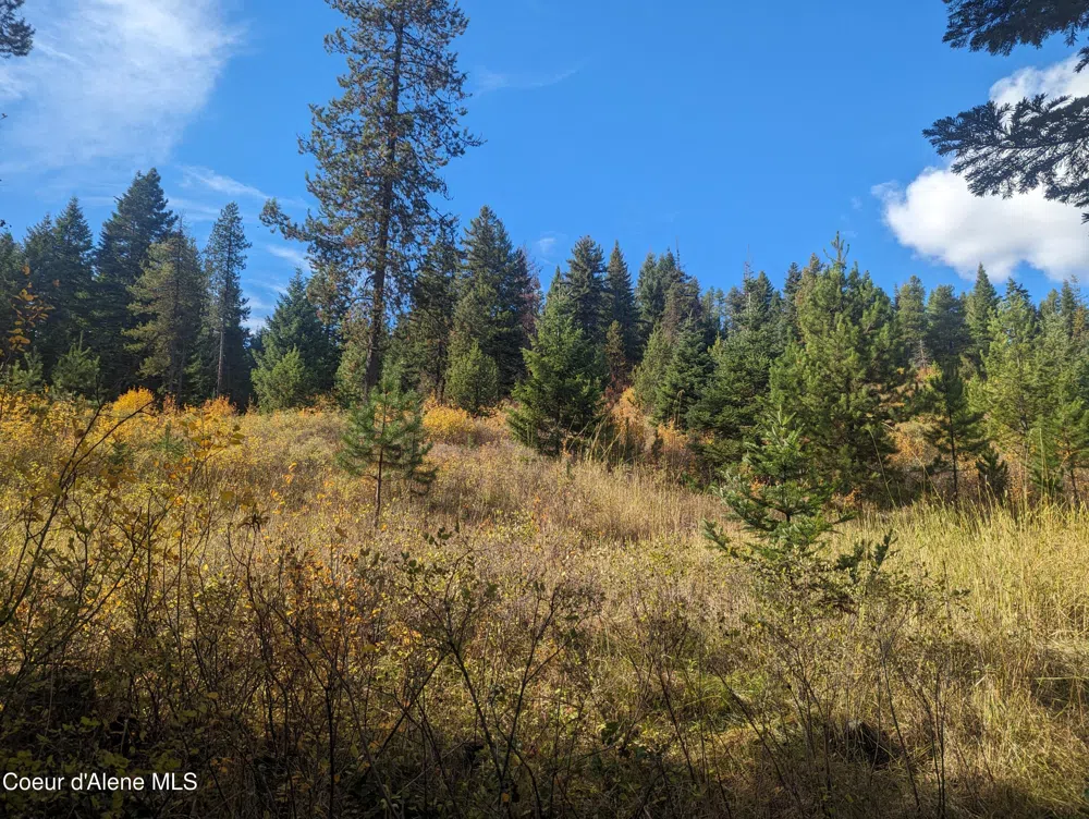 NKA Founders Rd Emida, ID 83861