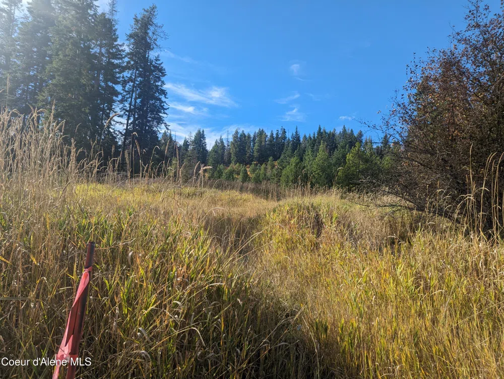NKA Founders Rd Emida, ID 83861
